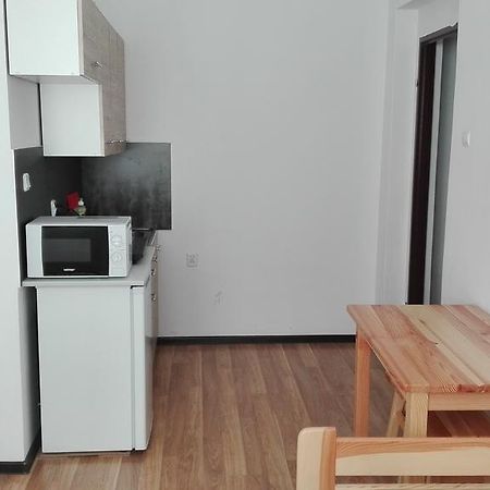 Pokoje Typu Studio Сосновец Экстерьер фото
